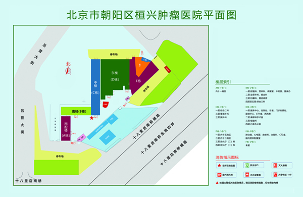 逼好骚北京市朝阳区桓兴肿瘤医院平面图